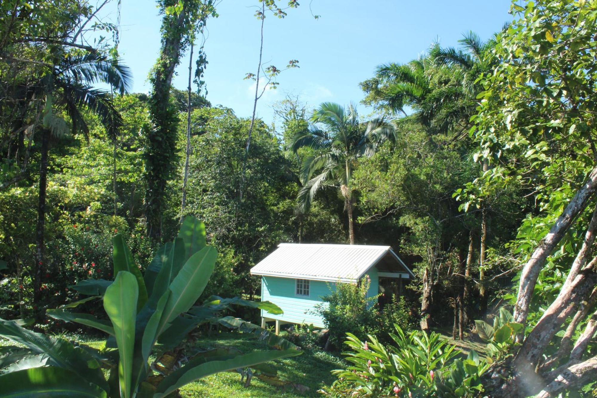 Bird Island Bungalows Бокас Номер фото